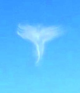 angel_cloud-1